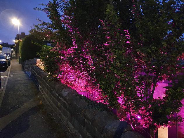 Colour changing LED garden lighting